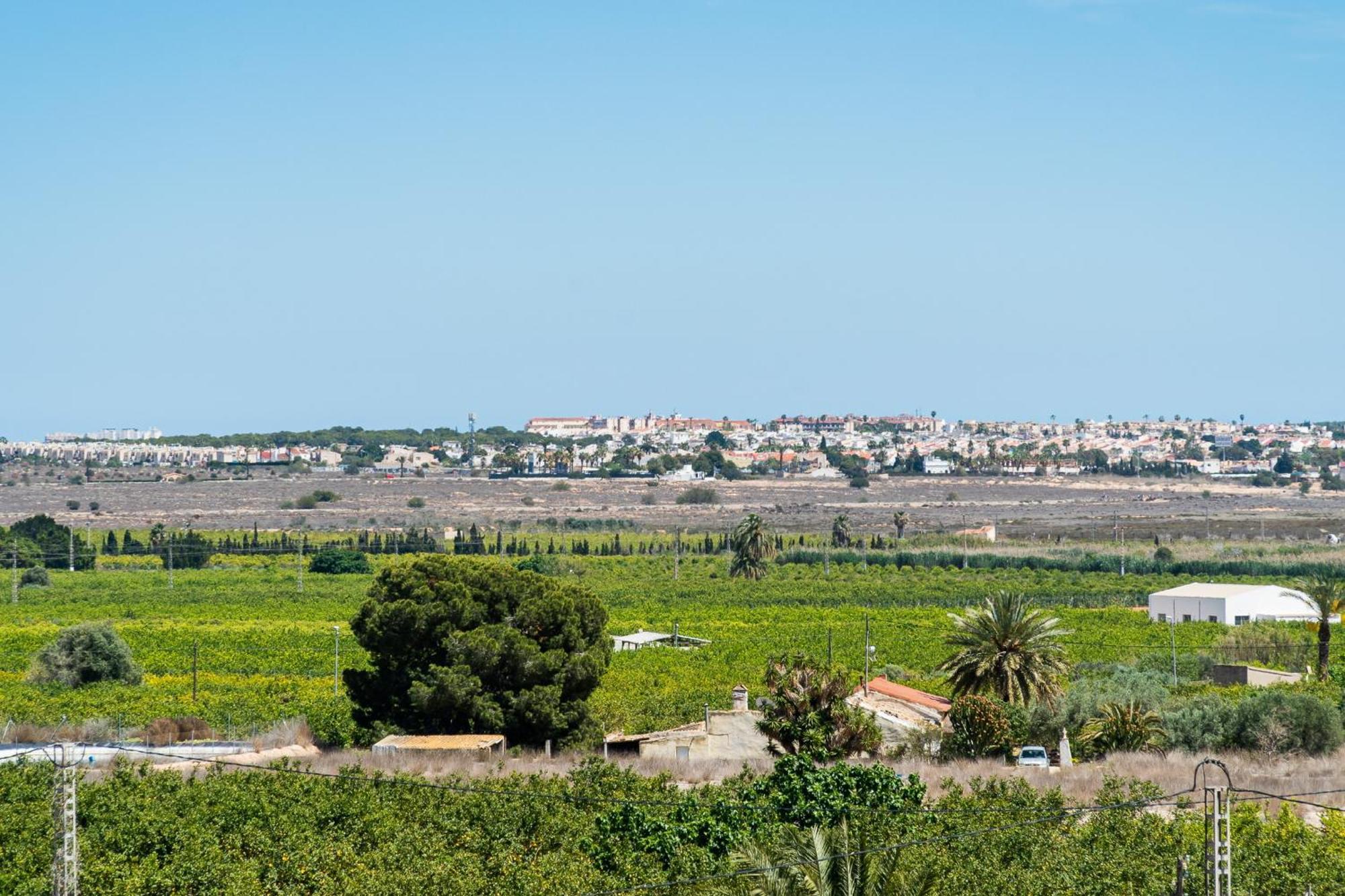 Aparthotel Laguna Rosa Los Montesinos Εξωτερικό φωτογραφία