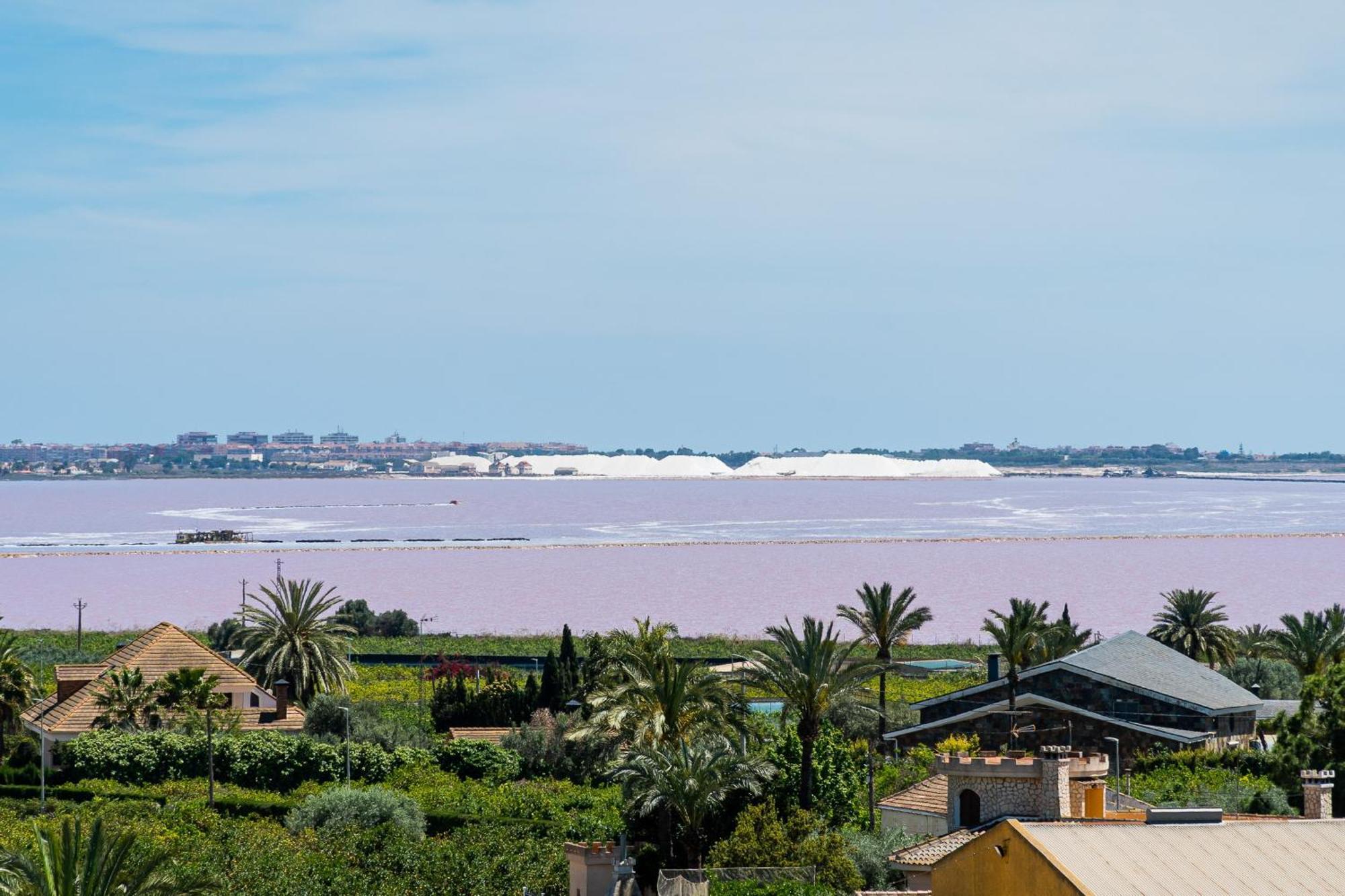 Aparthotel Laguna Rosa Los Montesinos Εξωτερικό φωτογραφία